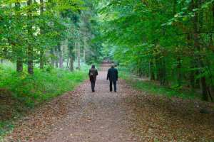 Man and woman walking in forest