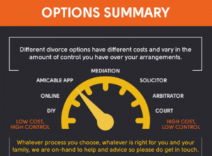 Options summary info graphic