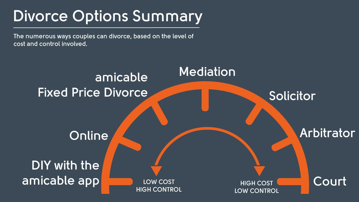 options summary