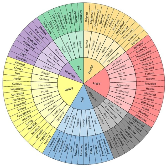 Feelings wheel